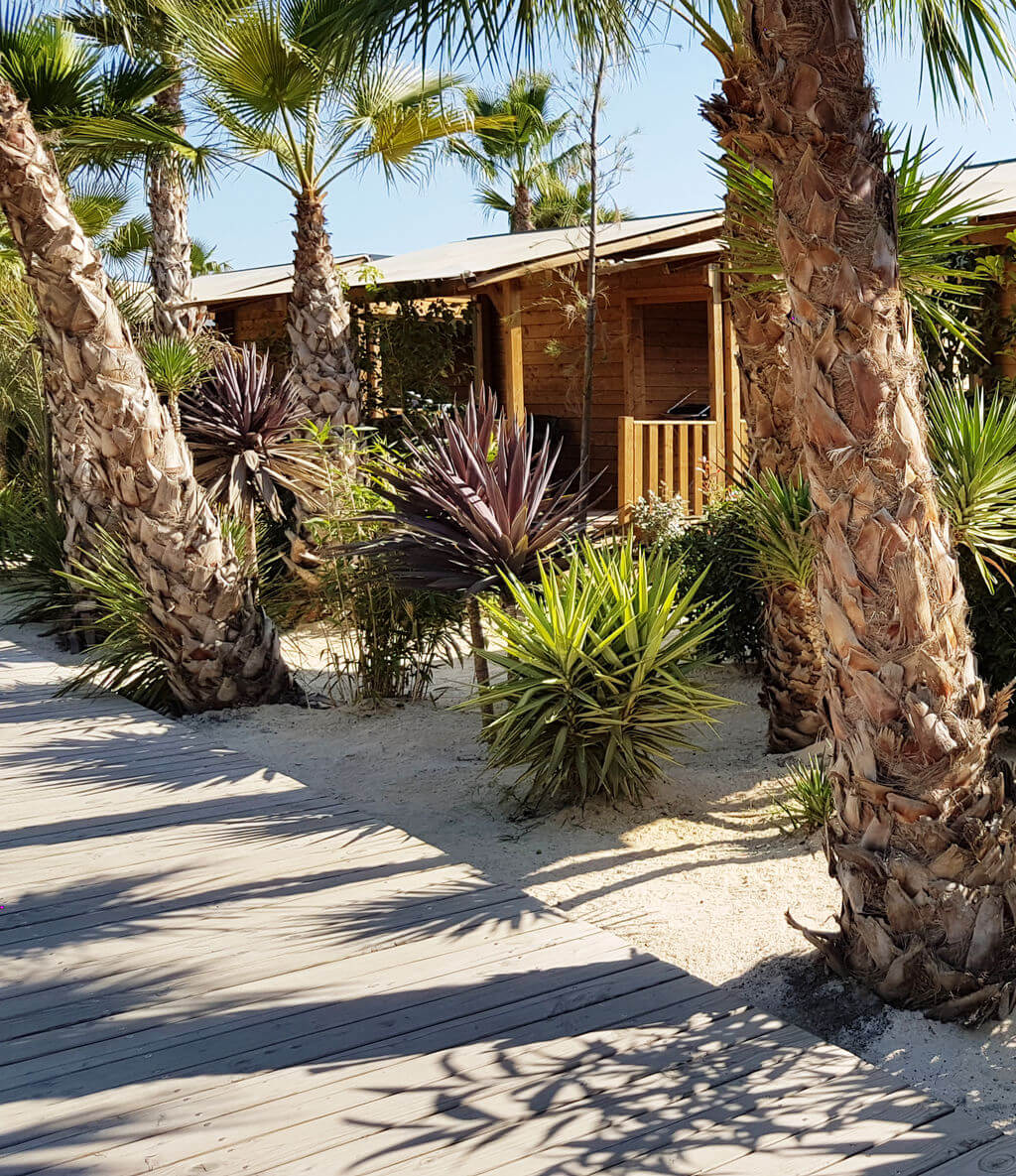 Nova Lodges